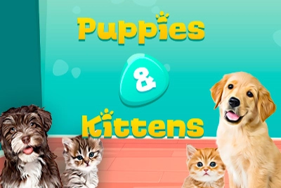 Puppies And Kittens
